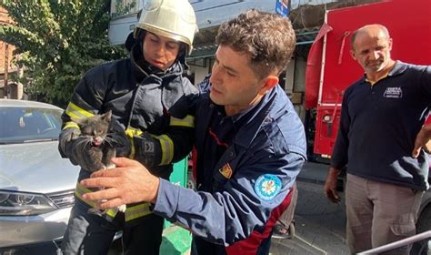 S­i­v­a­s­­t­a­ ­A­r­a­c­ı­n­ ­M­o­t­o­r­ ­K­ı­s­m­ı­n­a­ ­S­ı­k­ı­ş­a­n­ ­K­e­d­i­y­i­ ­İ­t­f­a­i­y­e­ ­E­k­i­b­i­ ­K­u­r­t­a­r­d­ı­
